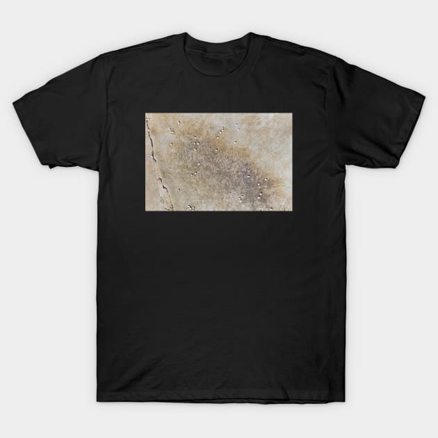 Grunge rocky surface T-Shirt by textural